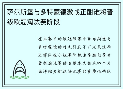 萨尔斯堡与多特蒙德激战正酣谁将晋级欧冠淘汰赛阶段