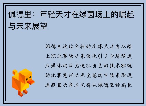 佩德里：年轻天才在绿茵场上的崛起与未来展望