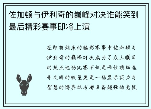 佐加顿与伊利奇的巅峰对决谁能笑到最后精彩赛事即将上演